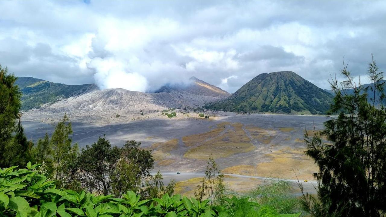Dannu'S Homestay Ijen And Bromo Tour Banyuwangi  Exterior photo